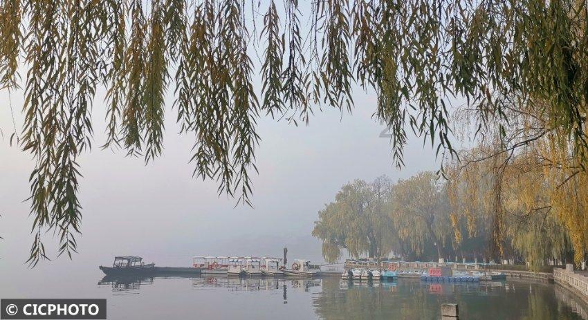 岁末年味渐浓 “龙”重登场